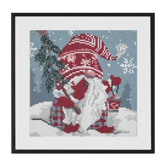 Pictura Diamant, Model Gnom, 30x30 Cm