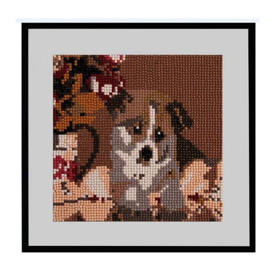 Pictura Diamant Creative Craft, Model Caine, 20x20 Cm