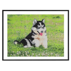 Pictura Diamant Creative Craft, Model Caine, 40x50 Cm