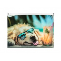 Buzunar Plastic A4, Inchidere Fermoar, Design Caine