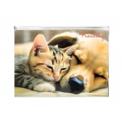 Buzunar Plastic A4, Prindere Fermoar, Tematica Prietenie