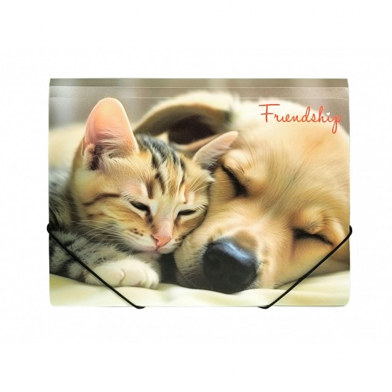 Mapa Plastic A4, Prindere Elastic, Tematica Prietenie