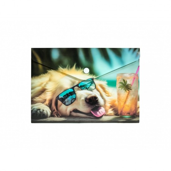 Buzunar Plastic A5, Inchidere Capsa, Design Caine