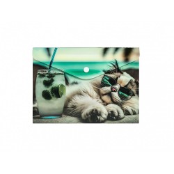 Buzunar Plastic A5, Inchidere Capsa, Design Pisica