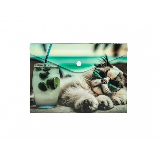 Buzunar Plastic A5, Inchidere Capsa, Design Pisica