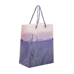 Punga Cadou 18x23x10 Cm, Design Levantica