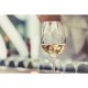 Vin Alb Demisec Val Duna Muscat Ottonel 3L, Alcool 12.5%, Vin Alb, Vin Alb Demisec, Vin Alb Val Duna, Vin Alb Demisec Val Duna, Vin Muscat Ottonel Val Duna, Vin Val Duna Alb, Vin Demisec Val Duna, Vin Demisec