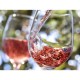 Vin Rose Sec Murfatlar Mozaic, 13.5% Alcool, 10 l, Vinuri Seci, Vin Sec, Vinuri Rose Seci, Vinuri Murfatlar, Vin Roze, Vinuri Seci Rose, Vin Sec Roze, Vin Sec Rose, Vin Roze Sec, Vin Rose, Murfatlar Sec Rose, Rose Sec, Vin Murfatlar Sec