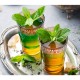 Cutie 20 Plicuri Ceai cu Menta BEYOUTEA, Ceai cu Plante, Pliculete de Ceai, Pliculete Ceai de Menta, Ceai Menta BEYOUTEA, Cutie Ceai de MEnta, Plicuri Ceai Menta, Infuzie de MEnta, Infuzie cu Menta, Ceaiuri Menta, Infuzii de Menta