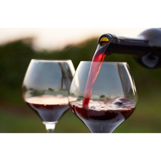 Vin Rosu Sec, Regno Recas, Pinot Noir, 0.75 L, Vin Rosu Sec, Regno Recas Pinot Noir, Bauturi Alcoolice, Vin Rosu Regno Recas, Vin Rosu Alcool 13.5%