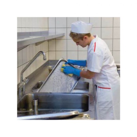 Detergent Vesela Side Professional, 5 L, Parfum de Mere Verzi, Detergent pentru Vesela, Detergent Vase, Detergent de Vase, Detergent de Vesela, Detergent pentru Vase, Detergenti de Vase, Detergenti de Vesela, Detergenti Vase, Solutie Curatare Vase