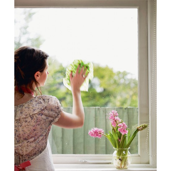 Detergent ECOLAB Clinil, 1 L Ideal pentru Curatarea Sticlei, Solutie Curatat Geamuri, Solutie Curatat Sticla, Detergent de Geamuri, Solutie Spalat Geamuri, Solutie Oglinzi, Detergent Oglinzi, Detergent pentru Sticla, Solutii si Produse de Curatenie