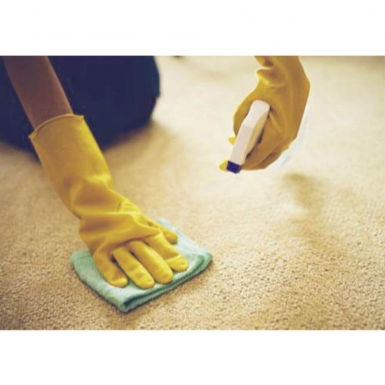 Pulverizator Lichid ECOLAB Carpet A, 500 ml, pentru Indepartarea Petelor, Detergent Covoare, Detergent Covoare si Carpete, Detergent Manual pentru Covoare, Solutii Curatare pentru Covoare, Solutie Curatare Covoare, Detergent Covoare pentru Aspirator