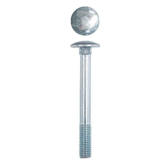 Set 50 Suruburi Metrice Cap Torbant, 8x120 mm, Zincate, DIN603-4.8, Suruburi Metrice Zincate cu Cap Torbant, Surub Metric Zincat cu Cap Torbant, Surub cu Filet Metric, Surub cu Cap Bombat si Gat Patrat, Surub Zincat Alb